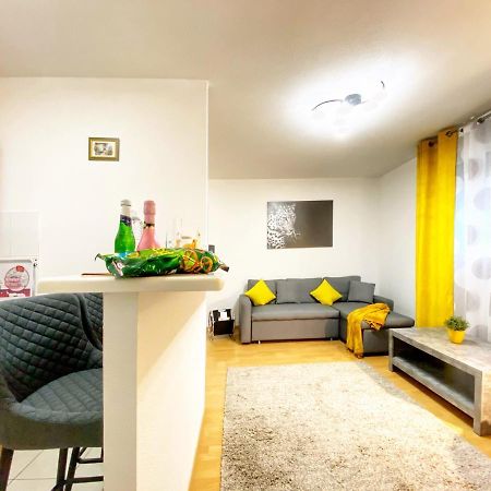 Centre Ville Au Calme , Parking Prive Interieur Car Et Bike Saverne Bagian luar foto